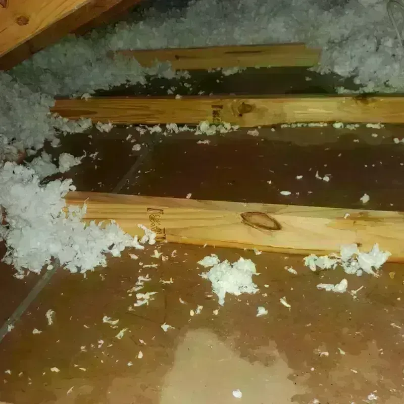 Attic Water Damage in Tequesta, FL